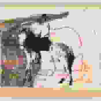 Placeholder for JC 0673 A