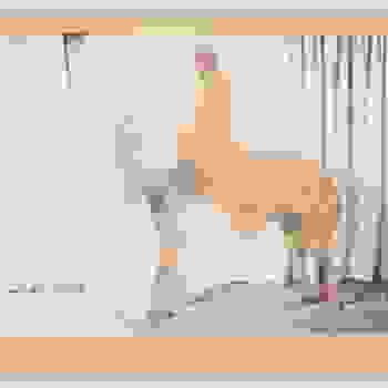 Placeholder for JC 0673 E