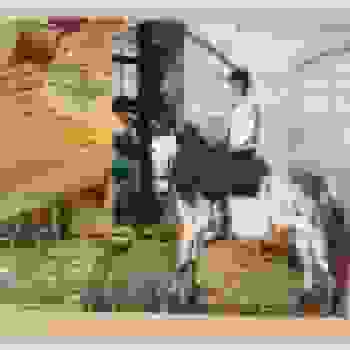 Placeholder for JC 0673 F