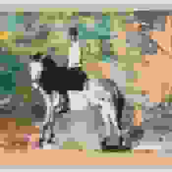 Placeholder for JC 0673 H