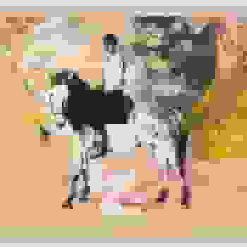 Placeholder for JC 0673 I