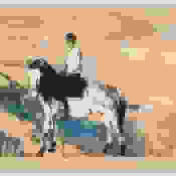 Placeholder for JC 0673 K