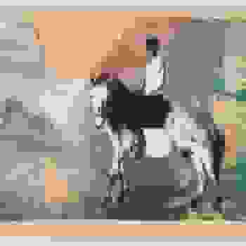 Placeholder for JC 0673 N