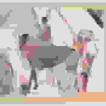 Placeholder for JC 0673 O
