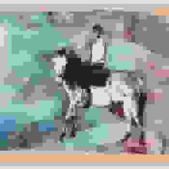 Placeholder for JC 0673 P