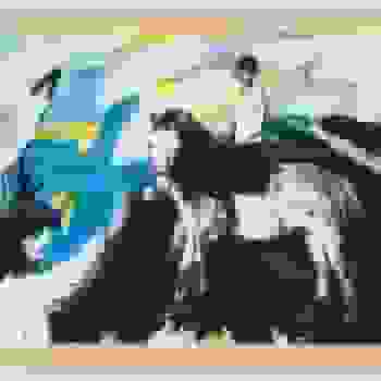 Placeholder for JC 0673 Q