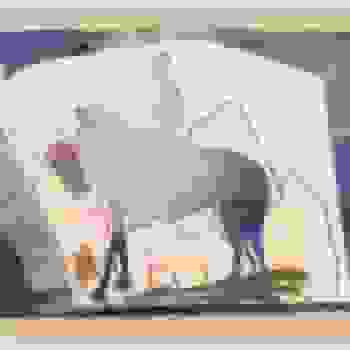 Placeholder for JC 0673 R