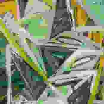 Placeholder for JC 0734