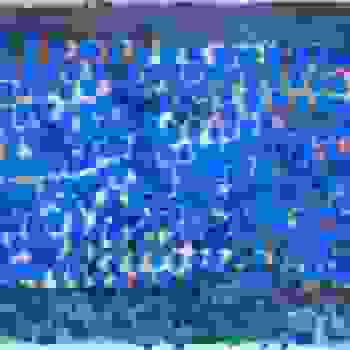 Placeholder for JC 0736