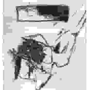 Placeholder for JC 0744