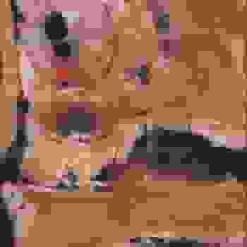 Placeholder for JC 0766