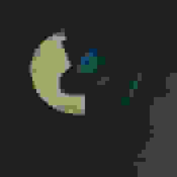 Placeholder for JC 0784