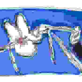 Placeholder for JC 0790