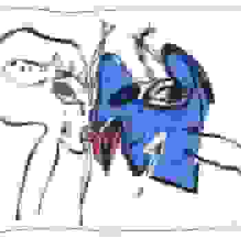Placeholder for JC 0791