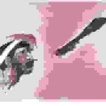 Placeholder for JC 0810
