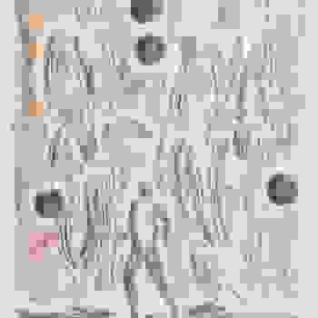 Placeholder for JC 0813