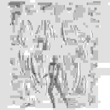 Placeholder for JC 0816