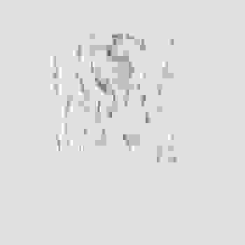 Placeholder for JC 0817