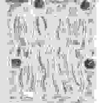Placeholder for JC 0818