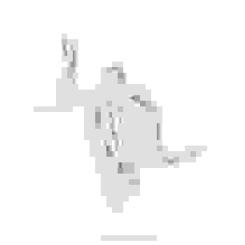 Placeholder for JC 0819
