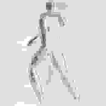 Placeholder for JC 0821