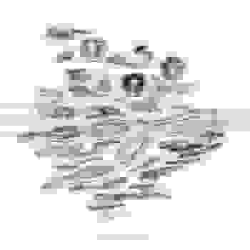 Placeholder for JC 0824