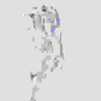 Placeholder for JC 0828