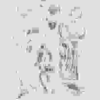 Placeholder for JC 0832