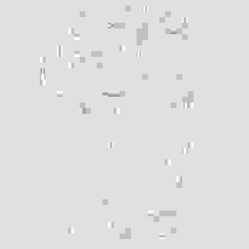 Placeholder for JC 0839