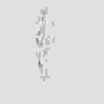 Placeholder for JC 0841