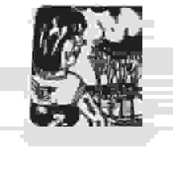Placeholder for JC 0855