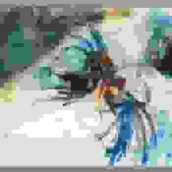 Placeholder for JC 0867