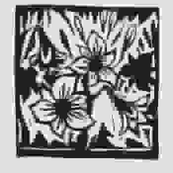 Placeholder for JC 0909
