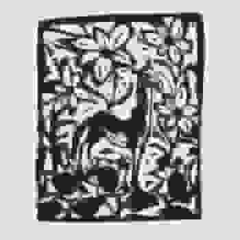 Placeholder for JC 0916