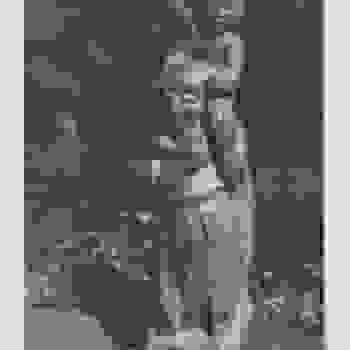 Placeholder for JC 0918 D