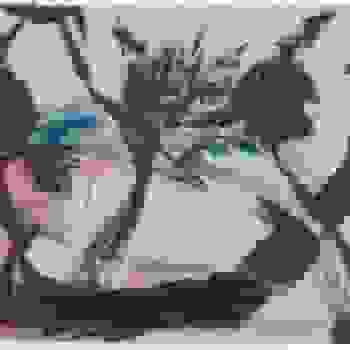Placeholder for JC 0940
