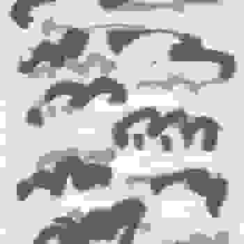 Placeholder for JC 1011 A