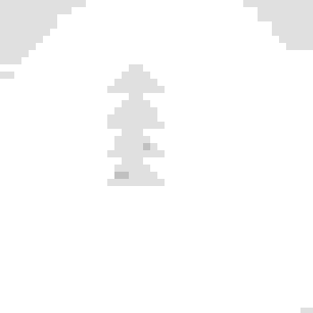 Placeholder for JC 1011 B