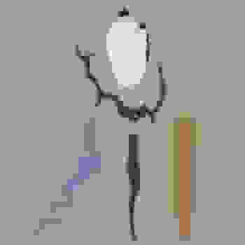 Placeholder for JC 1011 D
