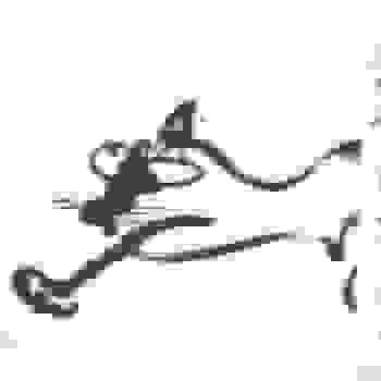 Placeholder for JC 1011 H