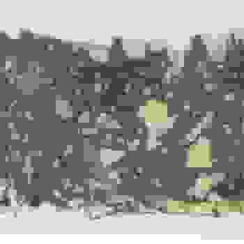 Placeholder for JC 1015
