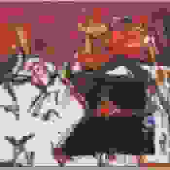 Placeholder for JC 1028