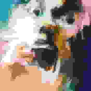 Placeholder for JC 1047