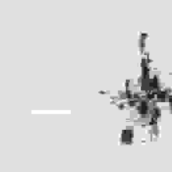 Placeholder for JC 1054 B