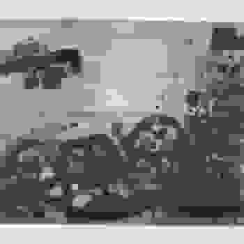Placeholder for JC 1054 F