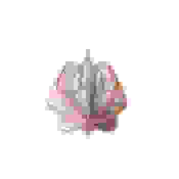 Placeholder for JC 1106