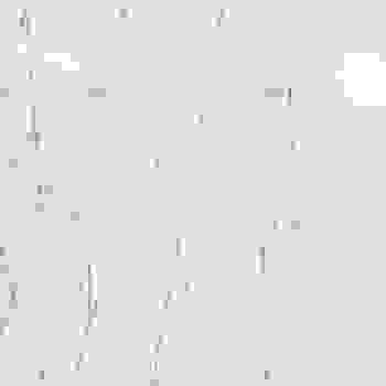 Placeholder for JC 1136 A