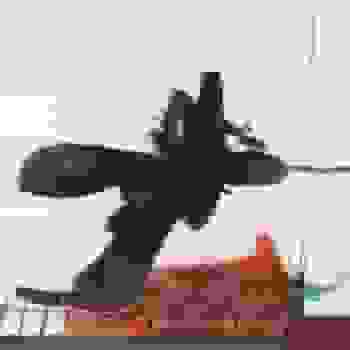 Placeholder for JC 1137