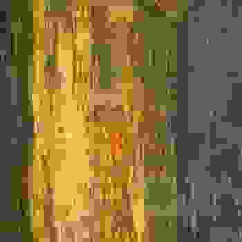Placeholder for JC 1140