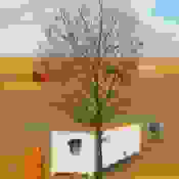Placeholder for JC 1145